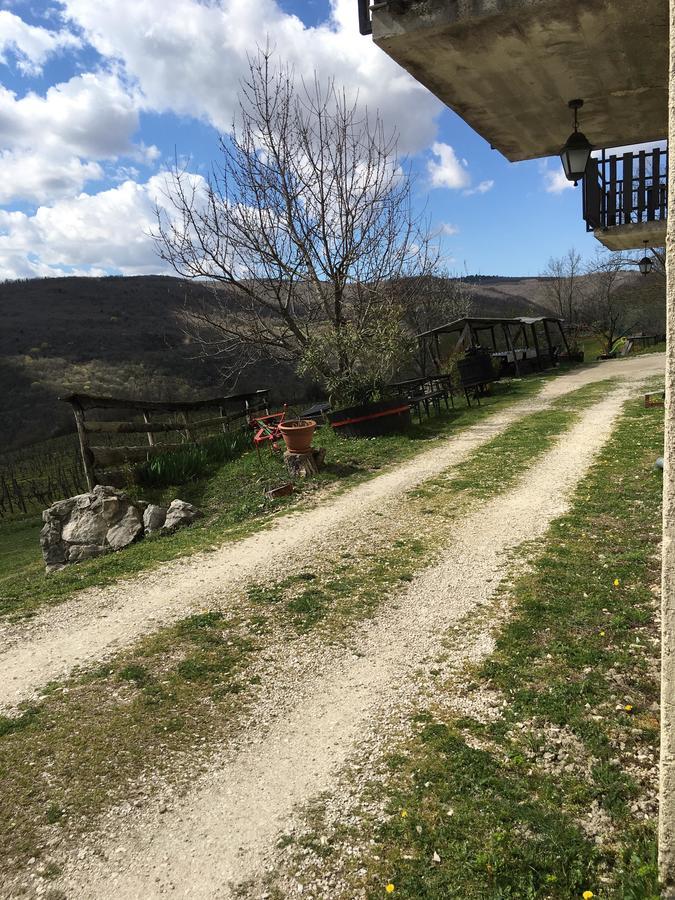 Agroturizam Toni Apartment Motovun Exterior photo